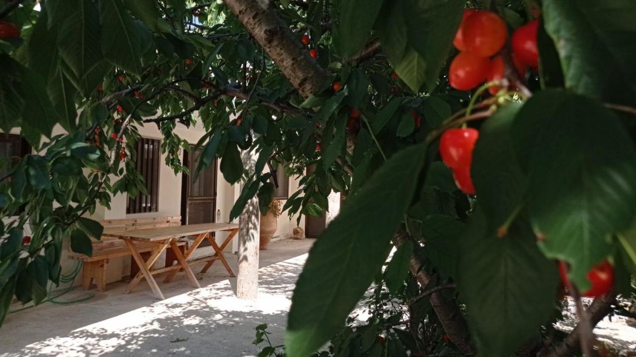 Villatzer - Traditional House With Fireplace And Garden Tzermiadon Bagian luar foto